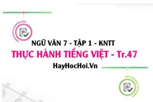 Soạn bài Thực hành tiếng Việt trang 47 lớp 7 Kết nối tri thức tập 1